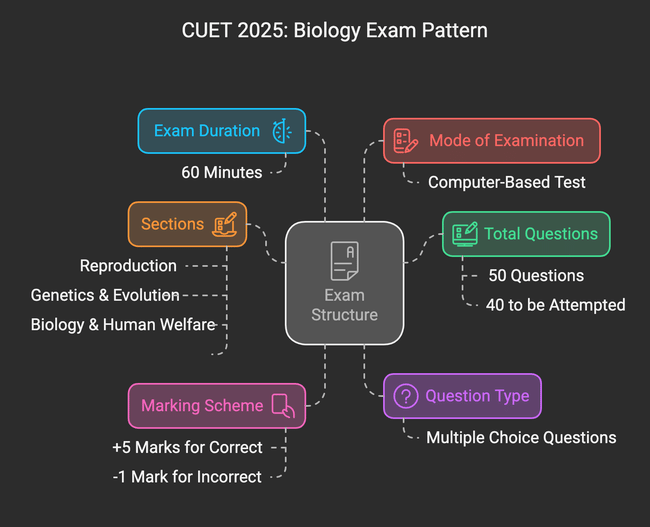 CUET 2025 Biology Syllabus: Download PDF Exam Pattern Previous Years
