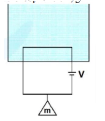 A massless square loop
