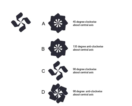 duplicated  motif was rotated