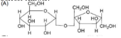 disaccharide X cannot be oxidized by bromine water