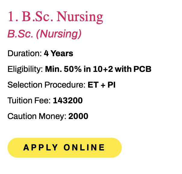 bsc nursing fee