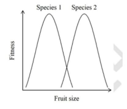 Two species of fruit bats