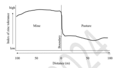 soil zinc tolerance of the grass species