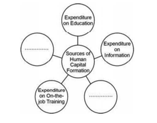 sources of Human Capital Formation