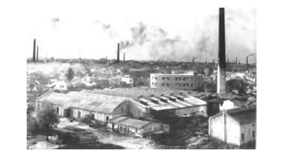 Industrial Pollution and Ecological Disaster