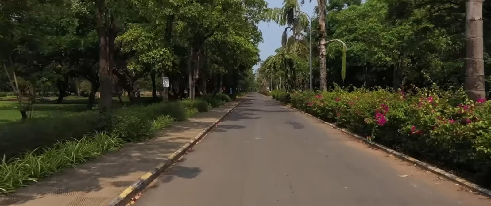 Shiv Nadar University Campus