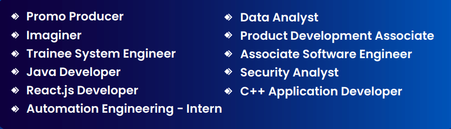 DSU BTech Job role offered