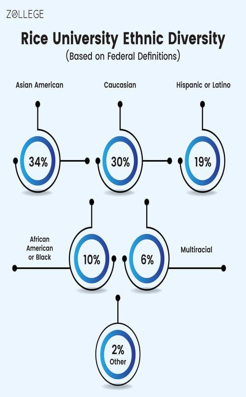 Rice University Ethnic Diversity(Based on Federal Definitions)