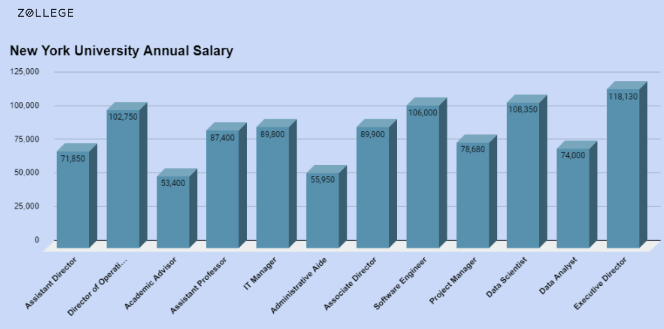 New York University Placement: Job Profiles, Salary and Placement Rates