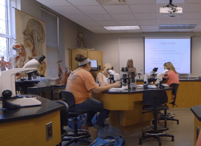 University of Tennessee, Martin: Ranking, Acceptance Rate, Application ...