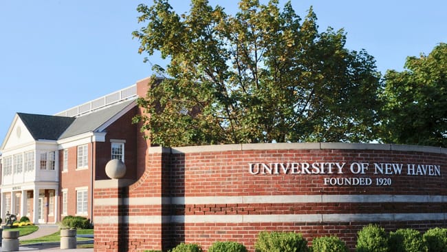 alt tags