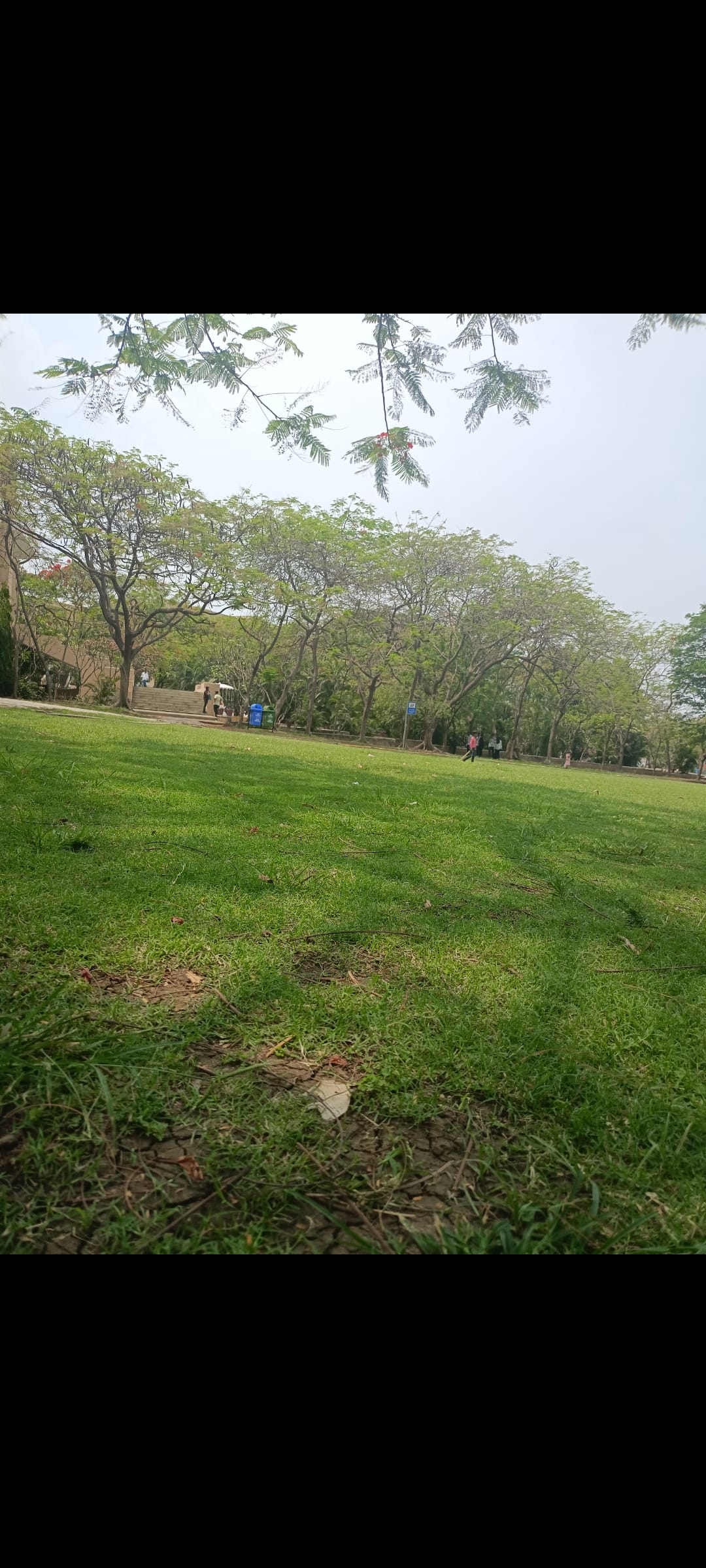 Campus photo (17) by Krishna Mahajan