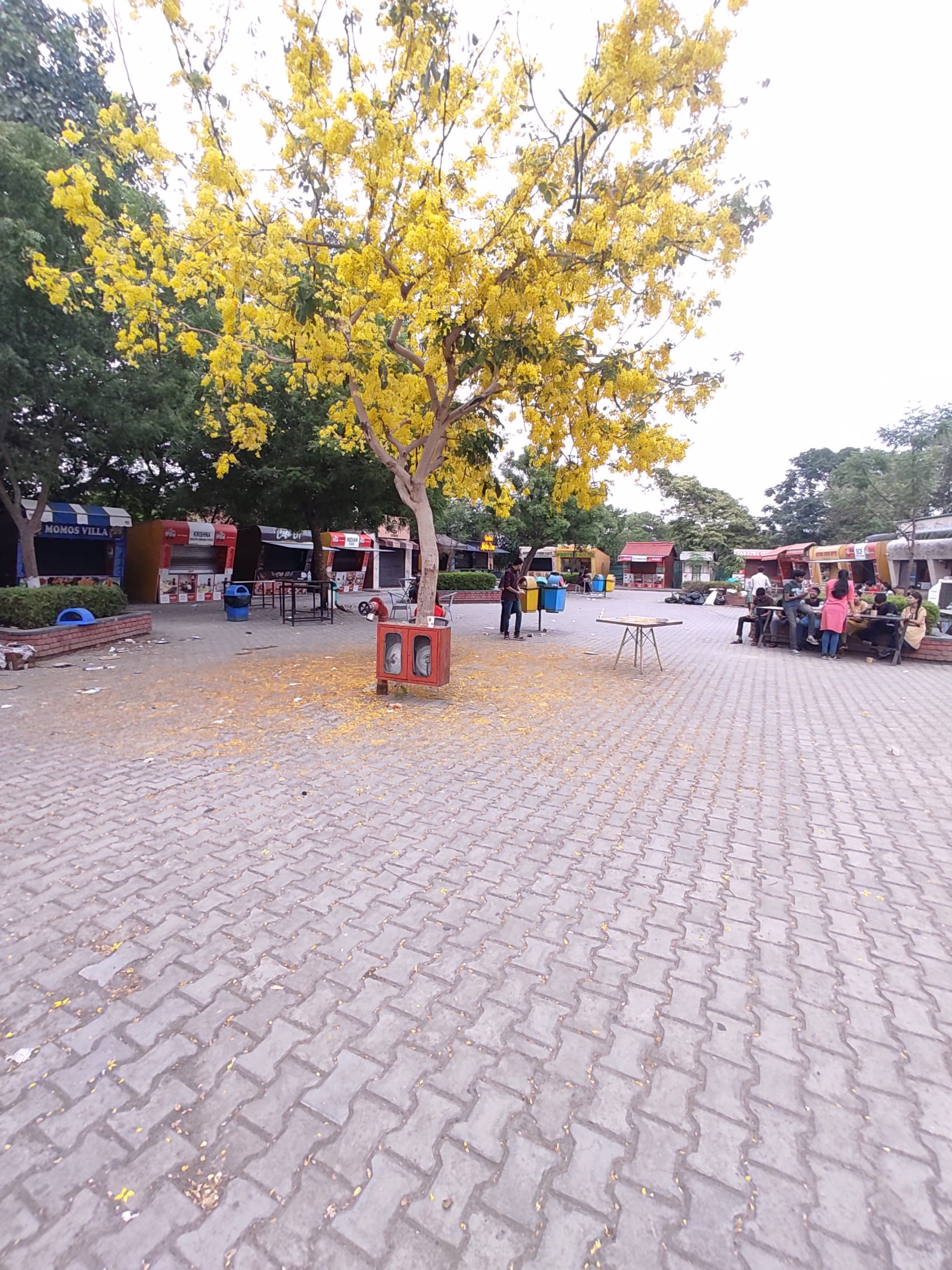 LPU Extra-Curricular photo (54) by Atul Kumar